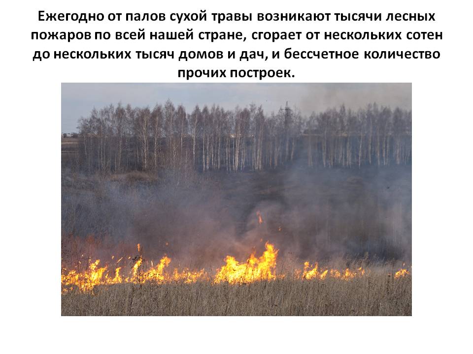 Открыть оригинальное изображение