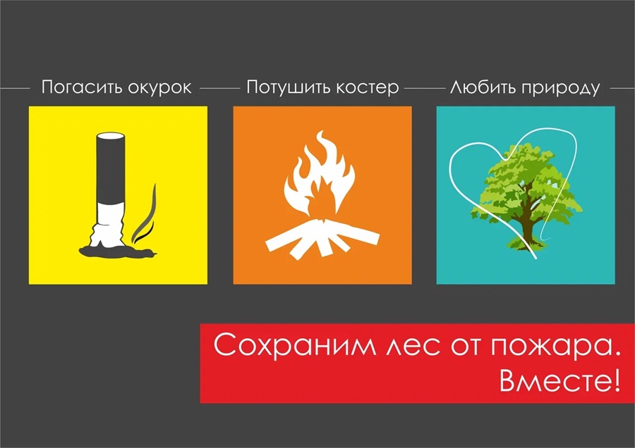 Открыть оригинальное изображение